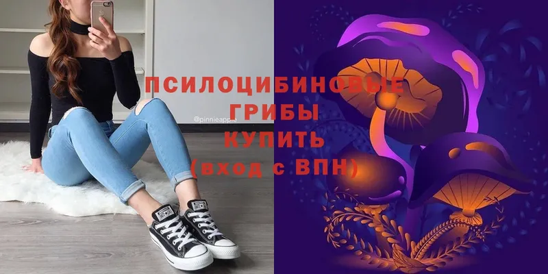 Псилоцибиновые грибы Magic Shrooms  маркетплейс телеграм  Кызыл 